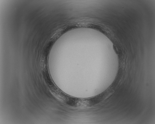 X0000080810599200701122243