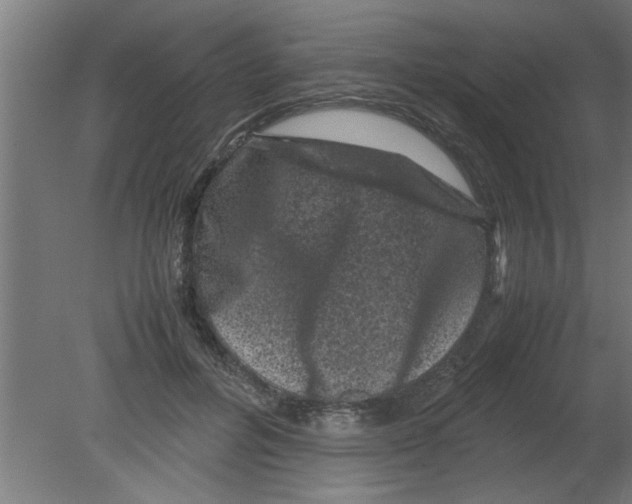 X0000080810600200701122243