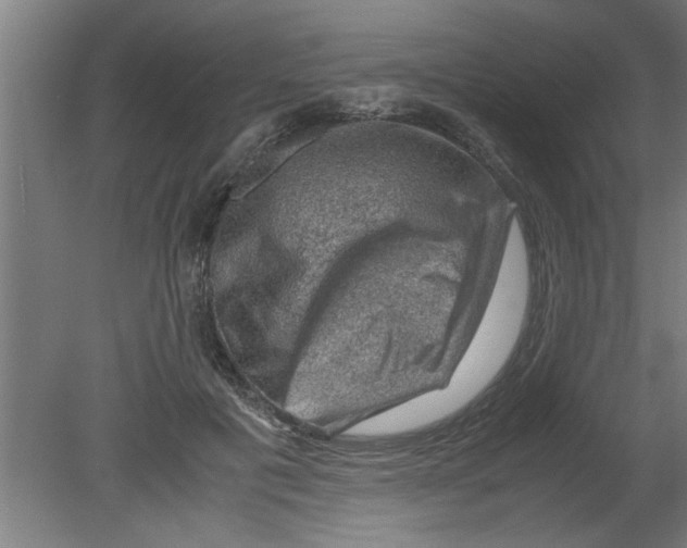 X0000080810601200701122243