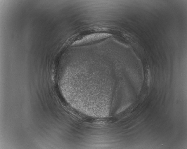 X0000080810604200701122243