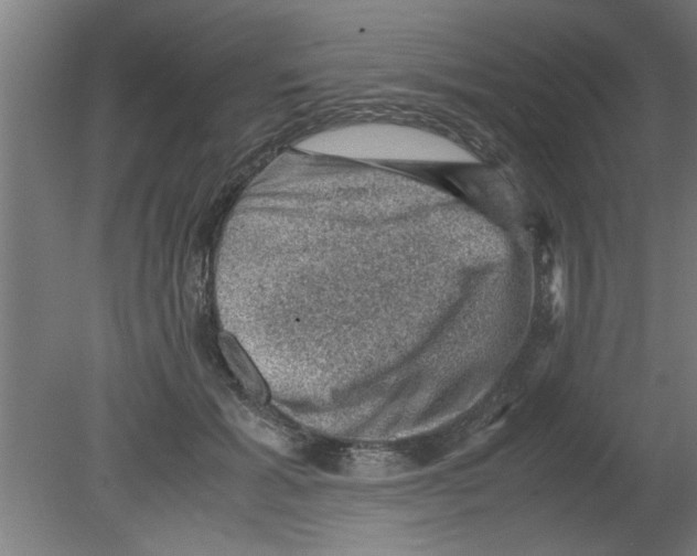 X0000080810605200701122243