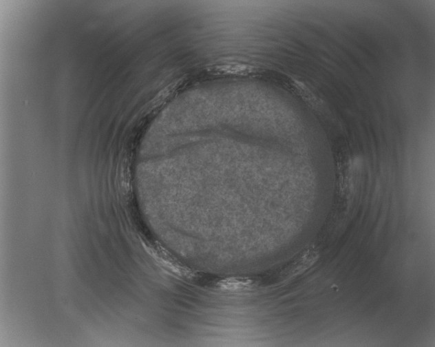 X0000080810606200701122243