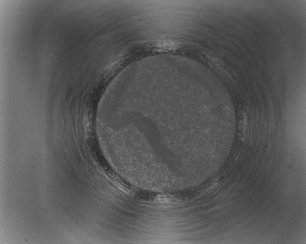 X0000080810608200701122243