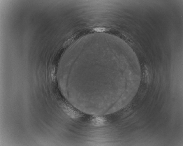 X0000080810610200701122242