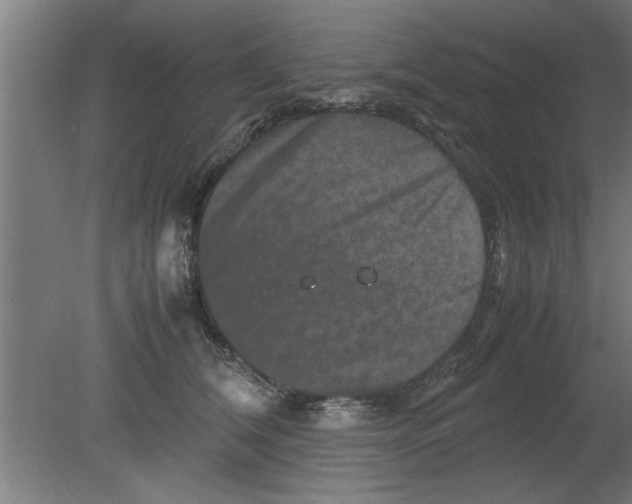 X0000080810612200701122242