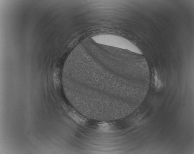 X0000080810616200701122242