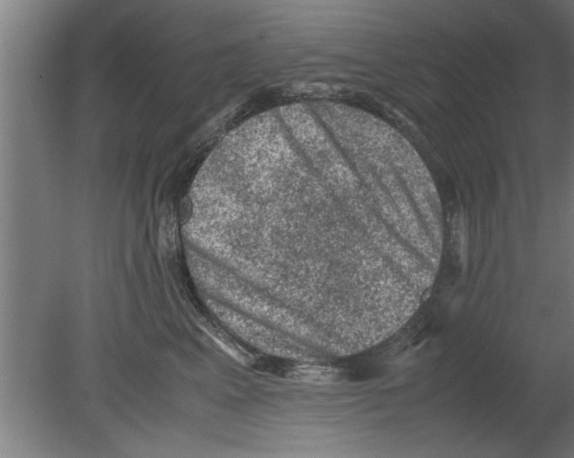 X0000080810617200701122242