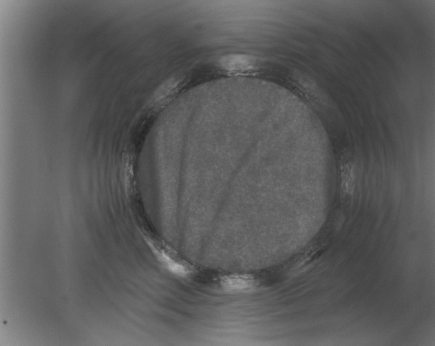 X0000080810618200701122242