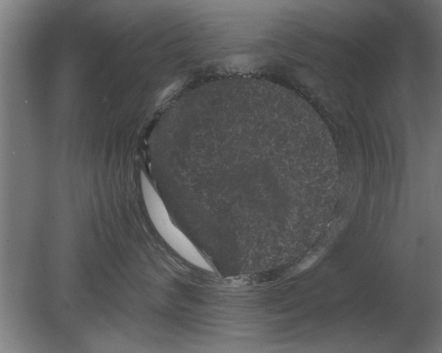 X0000080810624200701122242