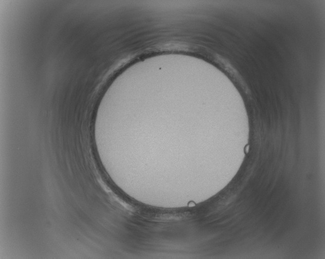 X0000080810625200701122241