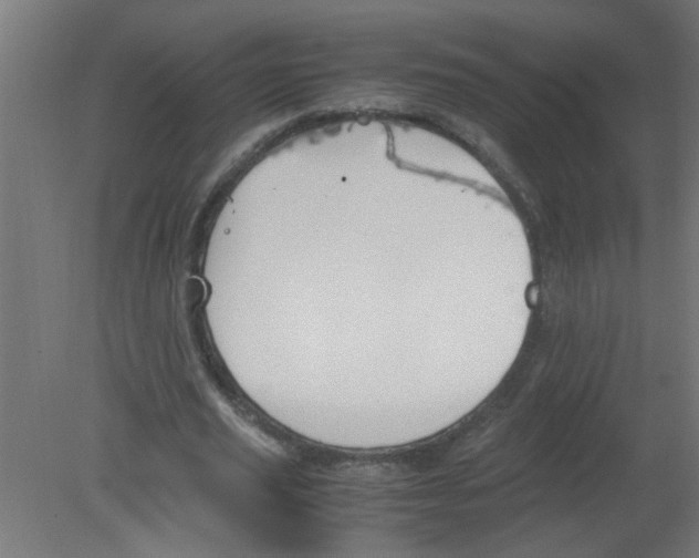 X0000080810629200701122241