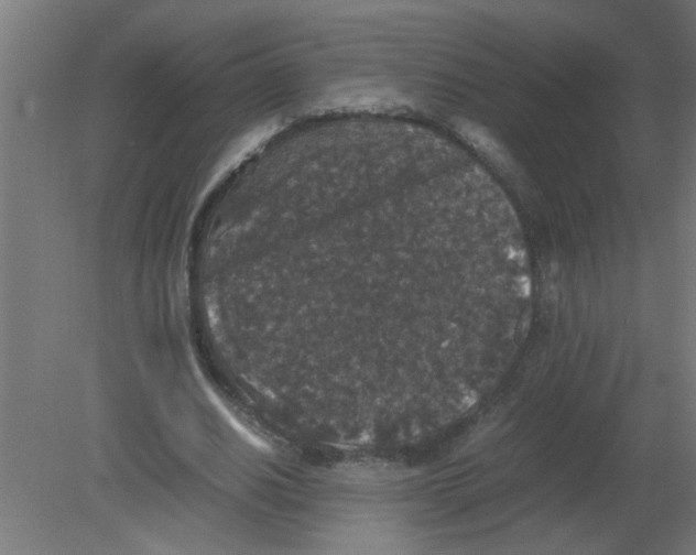 X0000080810630200701122242