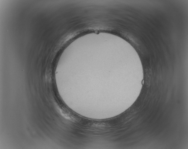 X0000080810631200701122242