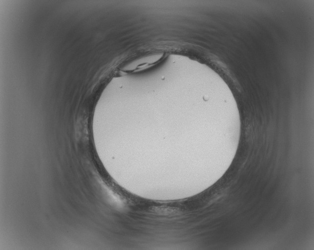 X0000080810633200701122242