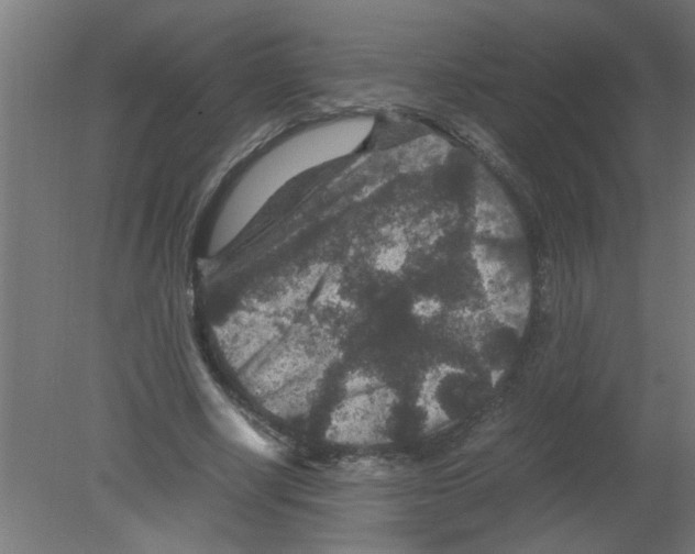 X0000080810634200701122242