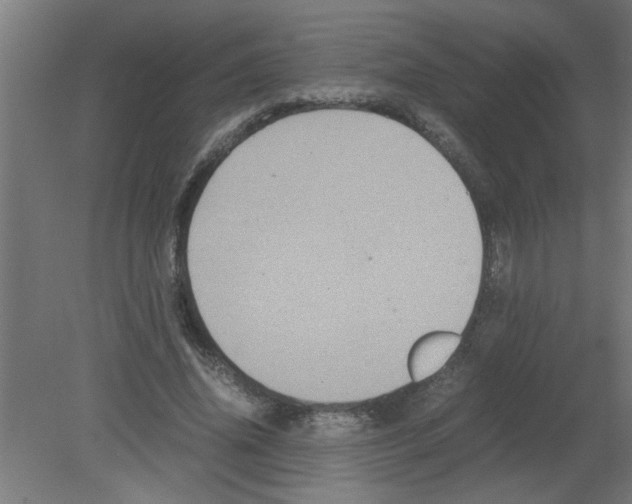 X0000080810636200701122242