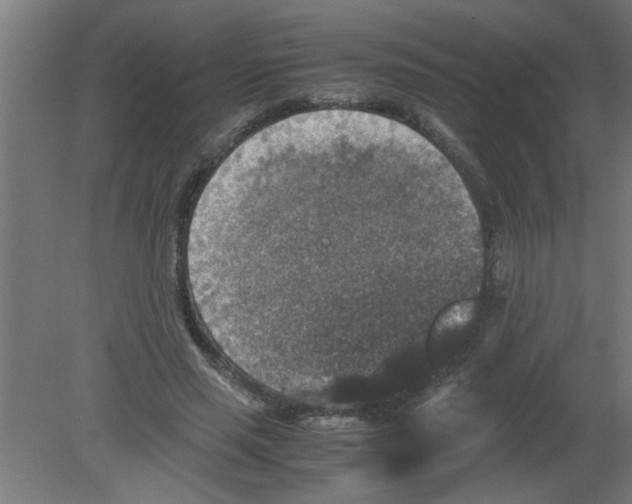 X0000080810637200701122242