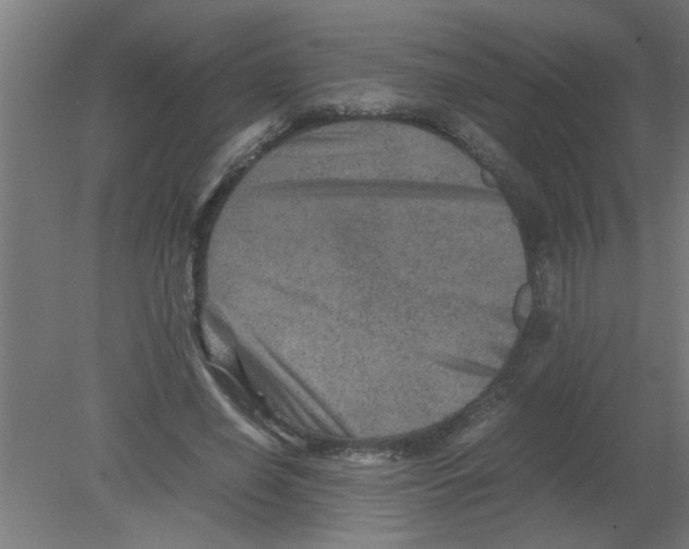 X0000080810638200701122242