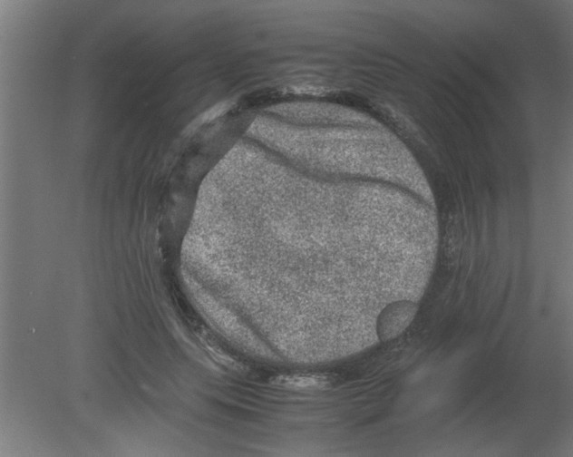 X0000080810639200701122242