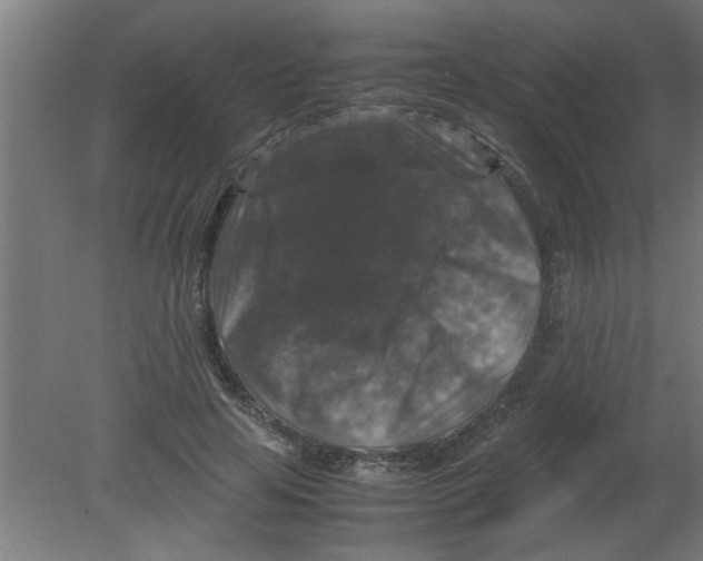 X0000080810641200701122242