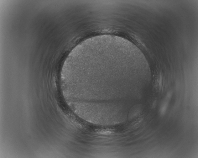 X0000080810643200701122242