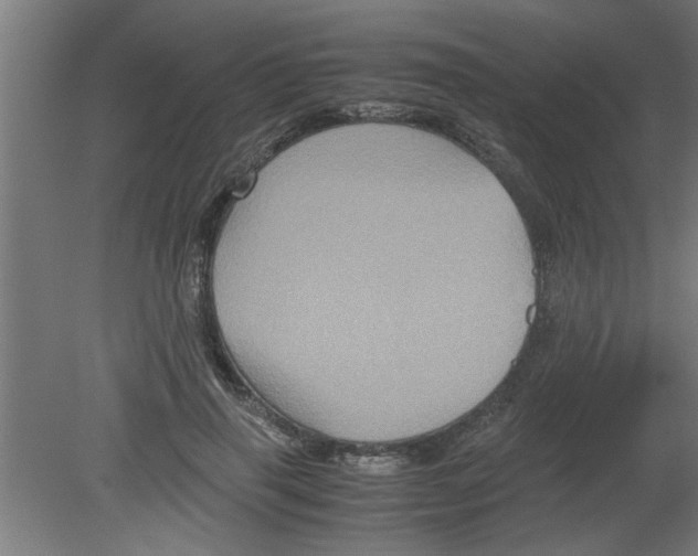 X0000080810645200701122242