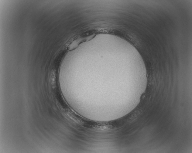 X0000080810646200701122242