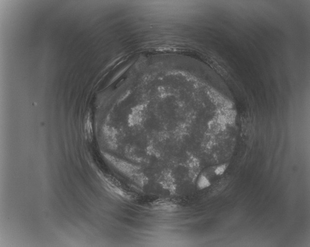 X0000080810648200701122242