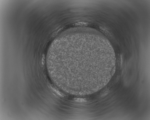 X0000080810649200701122242