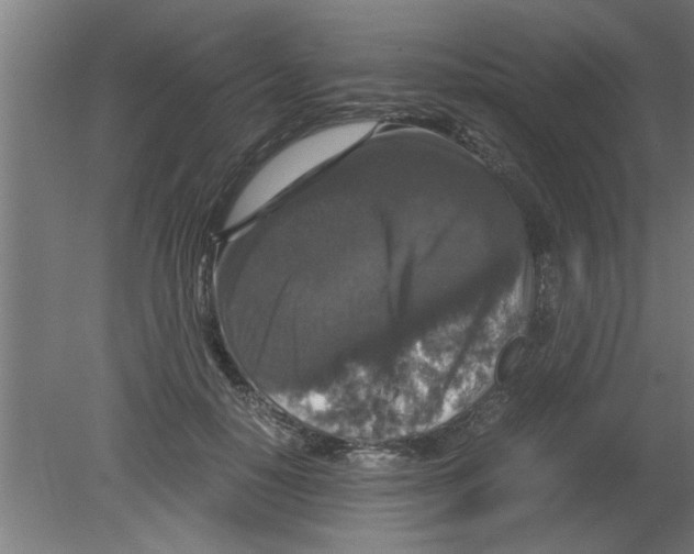 X0000080810650200701122242