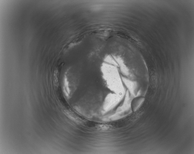 X0000080810654200701122242