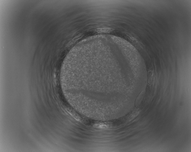 X0000080810655200701122242