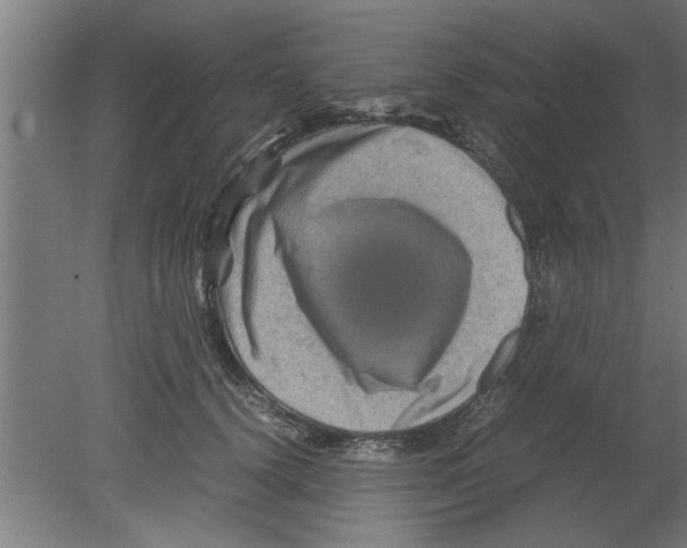 X0000080810656200701122242