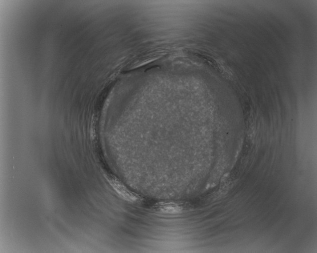 X0000080810658200701122242