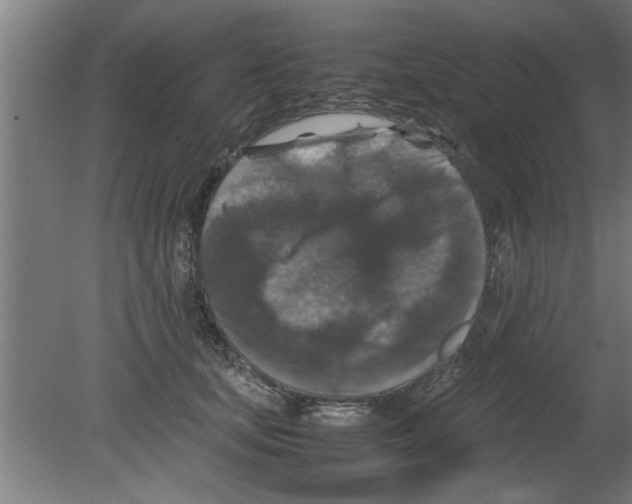 X0000080810659200701122242