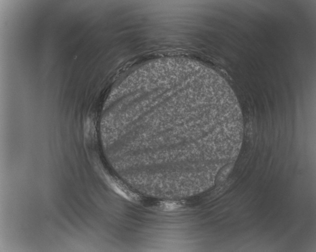 X0000080810662200701122242