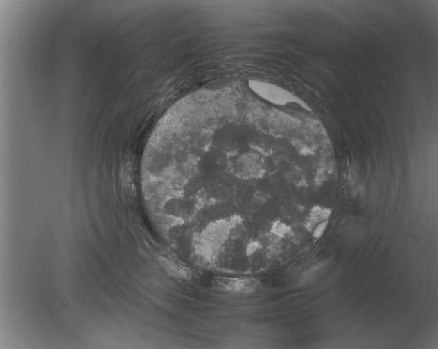 X0000080810663200701122242