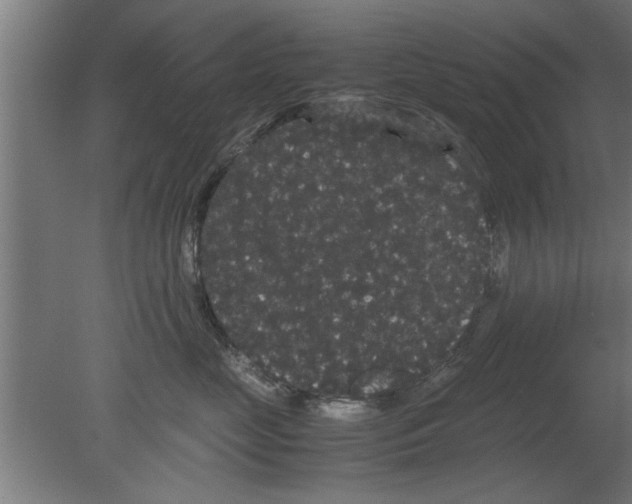 X0000080810669200701122242