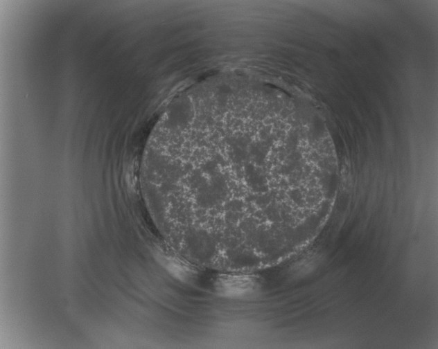 X0000080810671200701122242