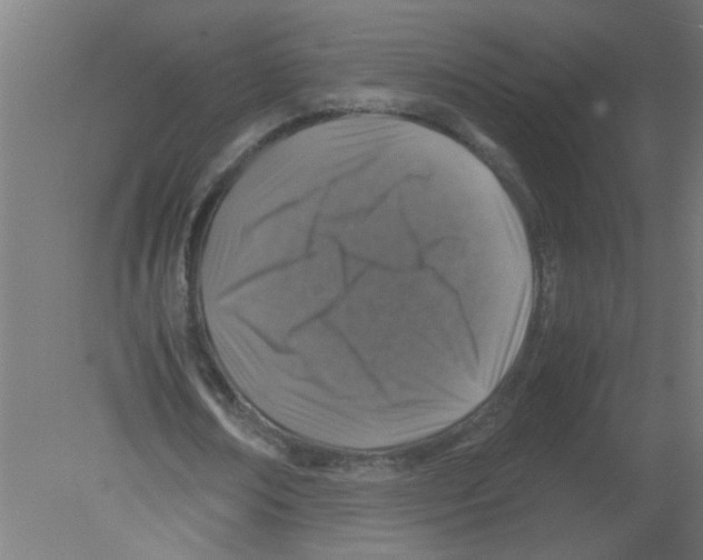 X0000080810674200701122241