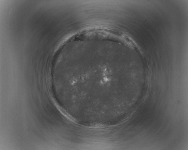 X0000080810677200701122241