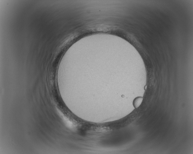 X0000080810683200701122241