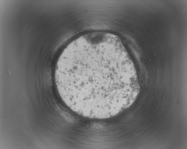 X0000080810684200701122241