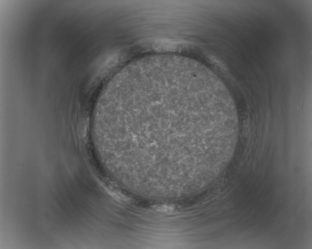 X0000080810687200701122241