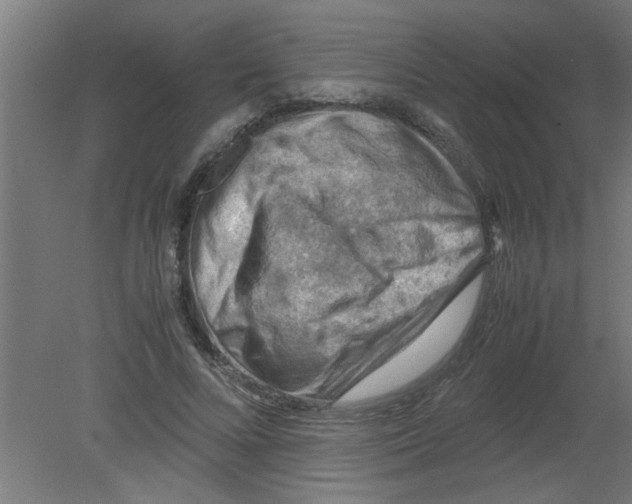 X0000080810688200701122241