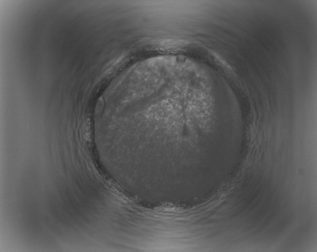 X0000080810689200701122241