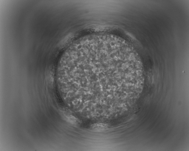 X0000080810691200701122241