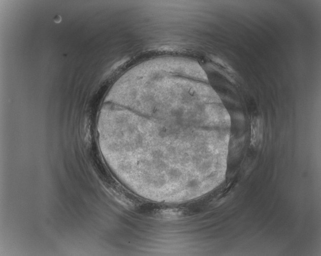 X0000080810692200701122241