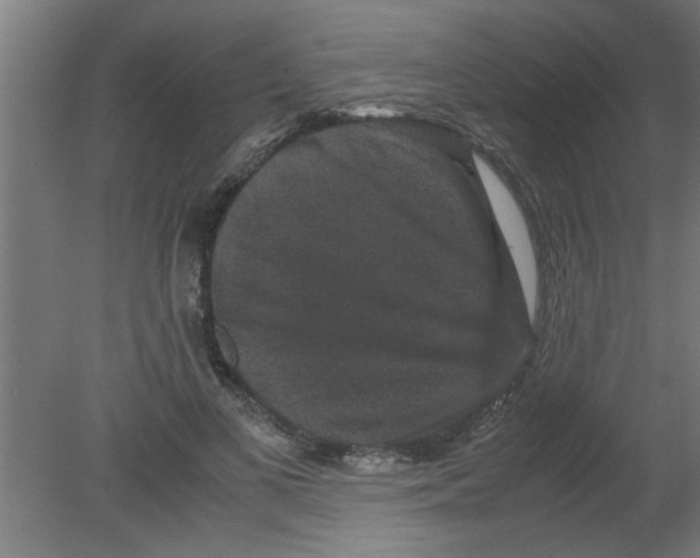 X0000080810693200701122241