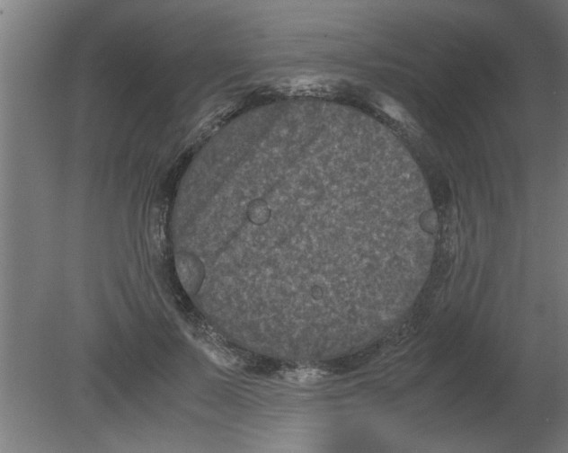 X0000080810695200701122241